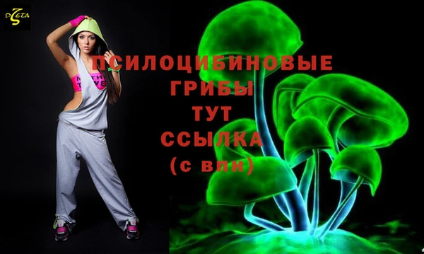 герыч Бородино
