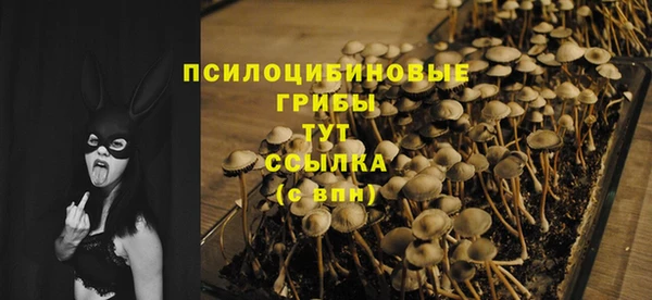 герыч Бородино