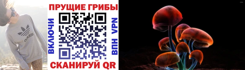 Галлюциногенные грибы ЛСД  Гуково 